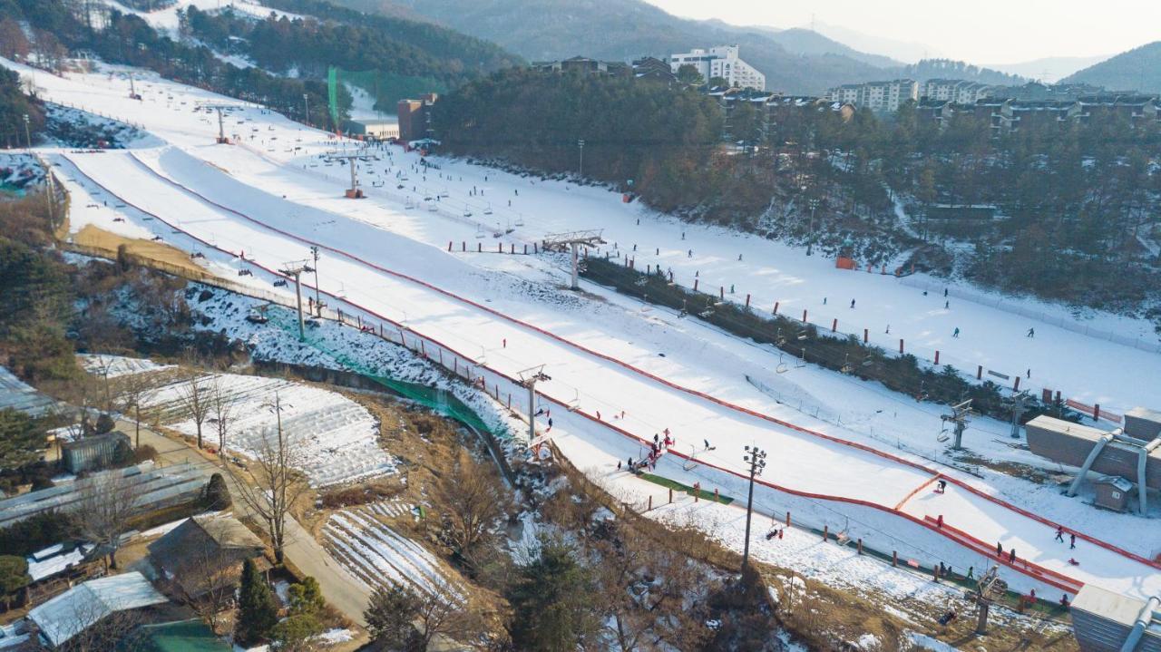 Hotel Bears Town Pocheon Zewnętrze zdjęcie