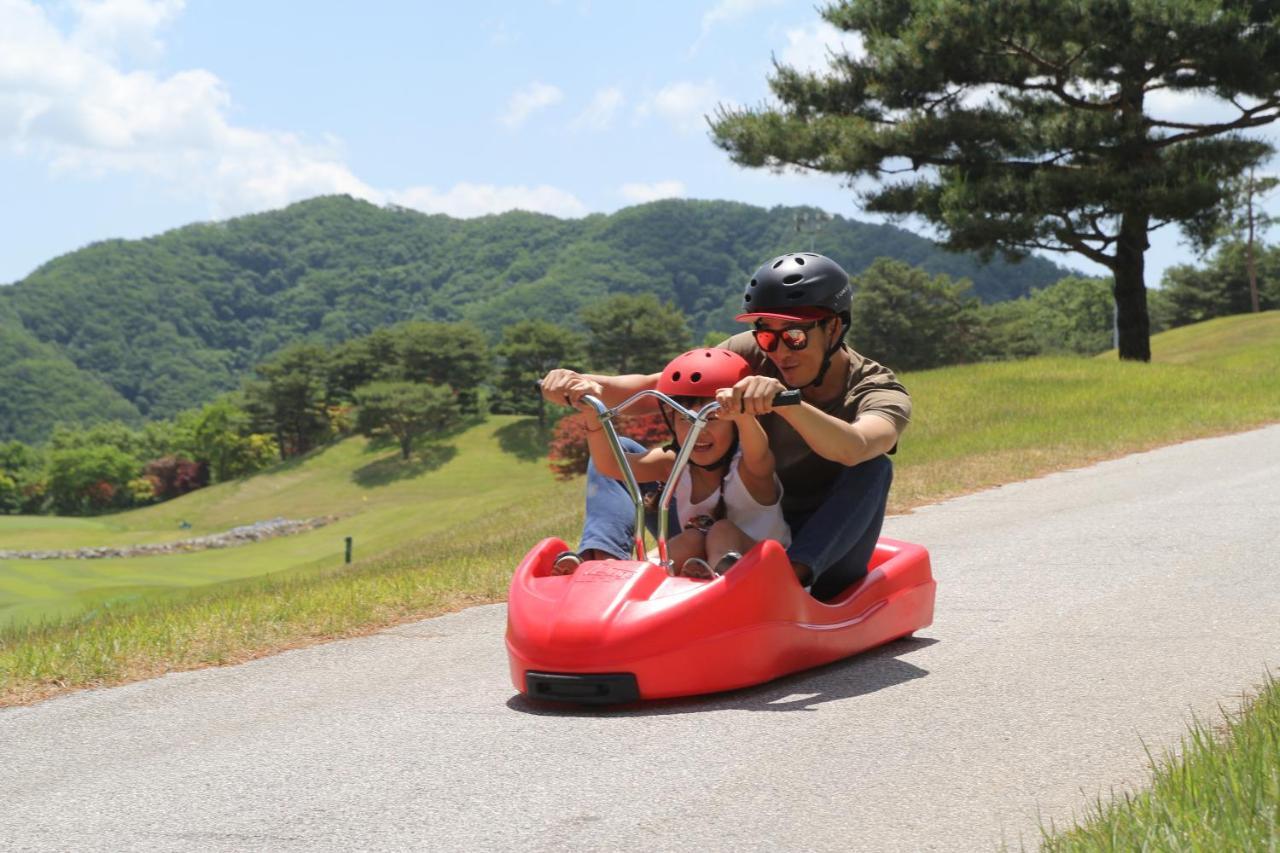 Hotel Bears Town Pocheon Zewnętrze zdjęcie