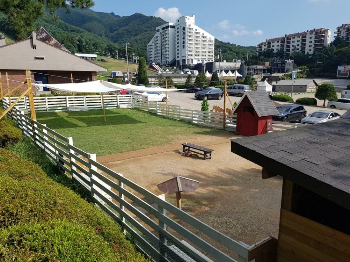 Hotel Bears Town Pocheon Zewnętrze zdjęcie